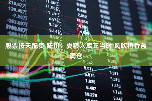 股票按天配资 陆川：夏粮入库正当时 风吹稻香盈满仓